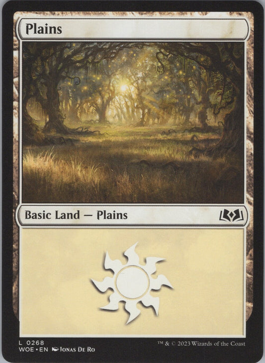 Plains