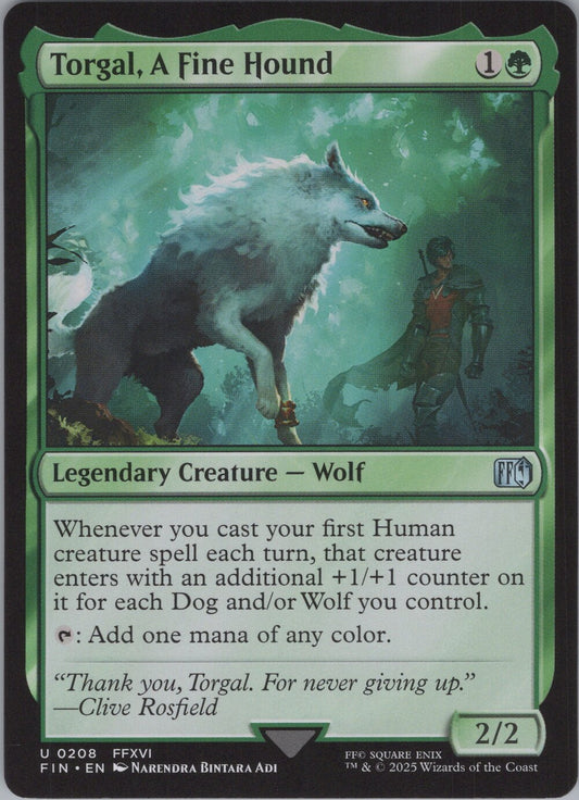 Torgal, A Fine Hound