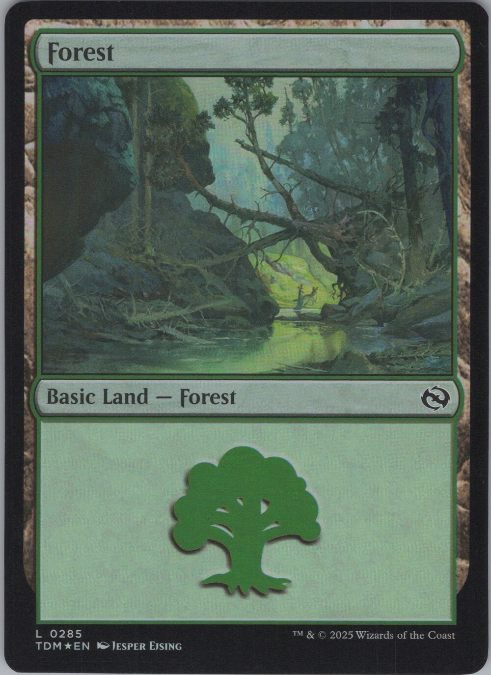 Forest