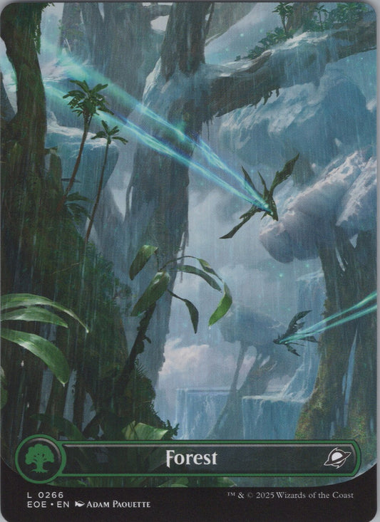 Forest