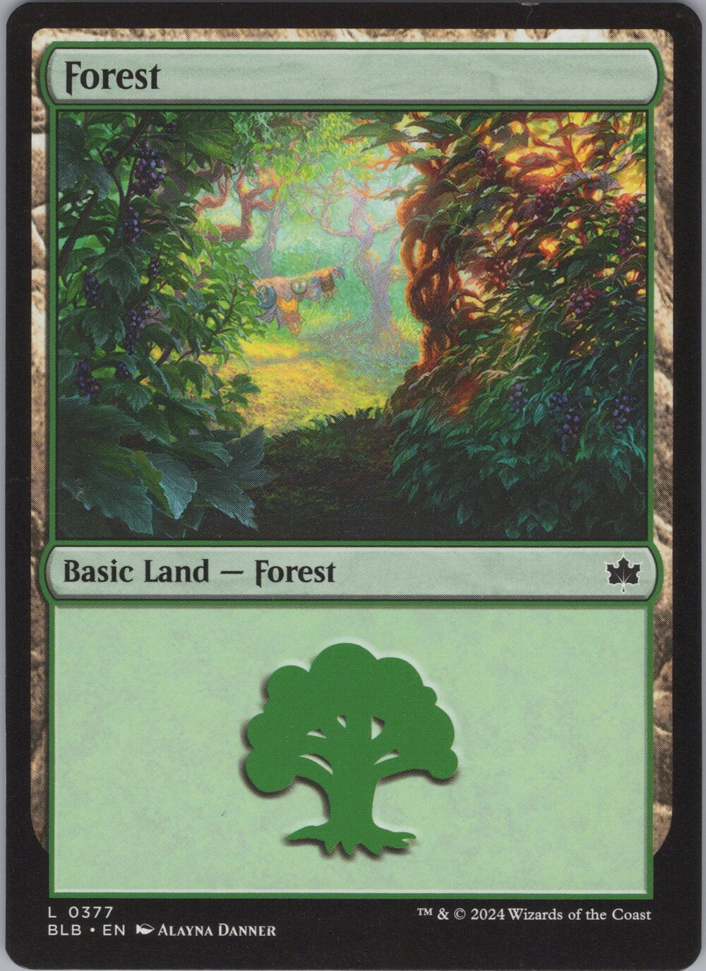 Forest