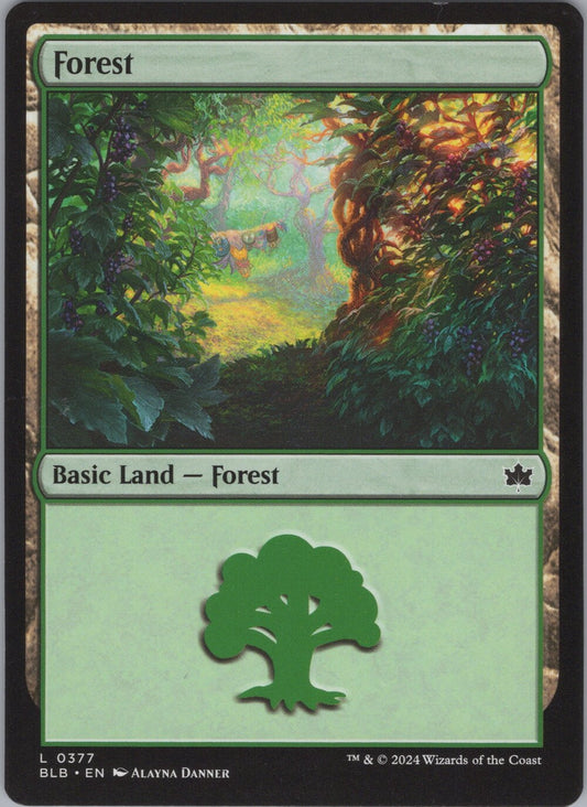Forest