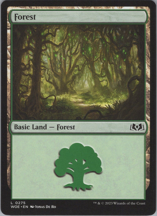 Forest