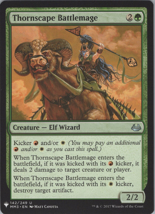 Thornscape Battlemage
