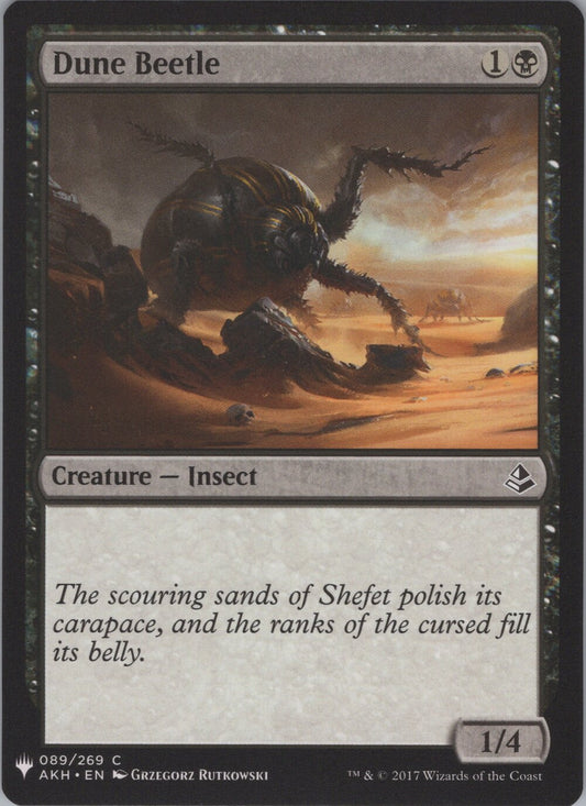 Dune Beetle